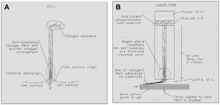 Figure 34