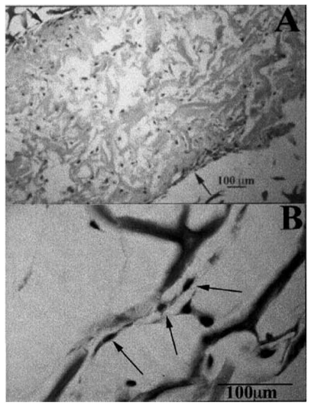 Figure 20