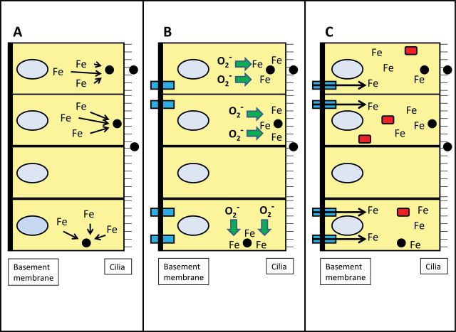 FIG. 6.