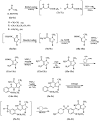 Scheme 3