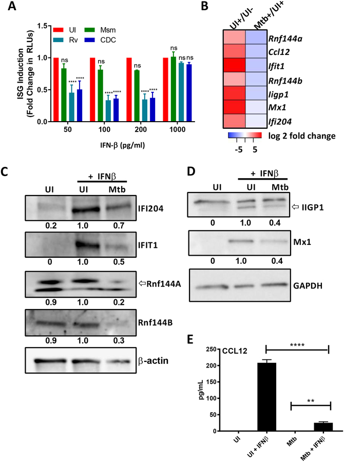 Fig 3.