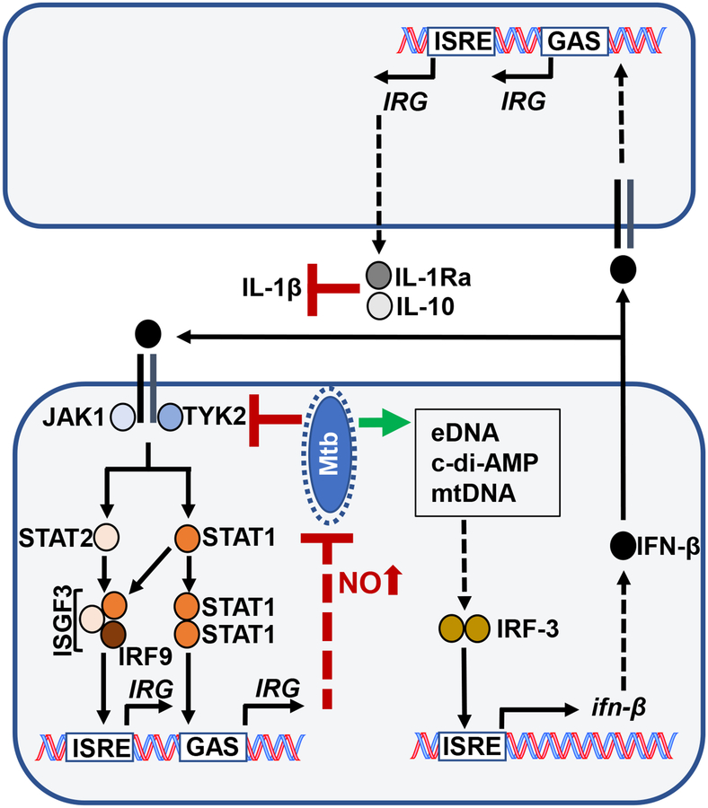 Fig 7.