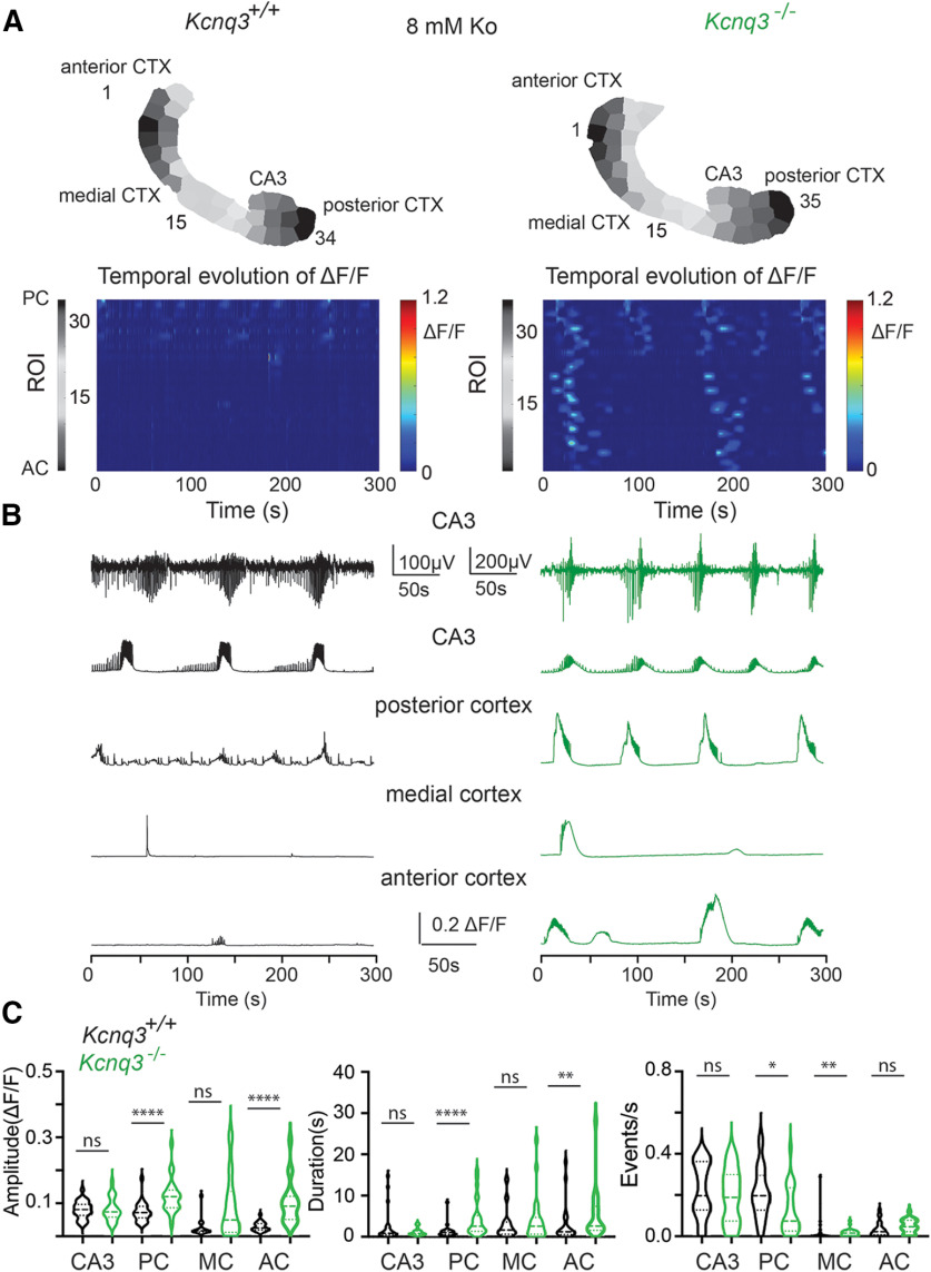 Figure 10.