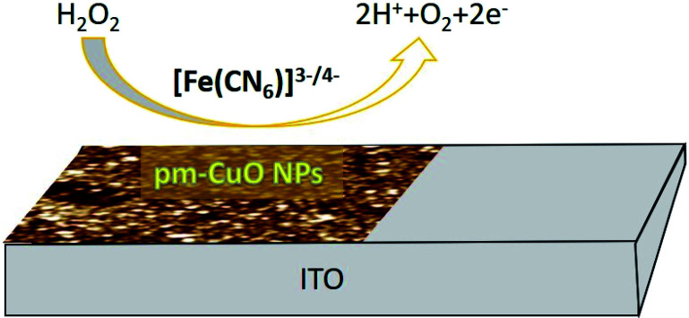 Fig. 10