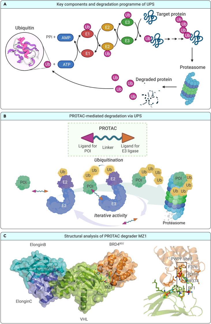 Figure 1