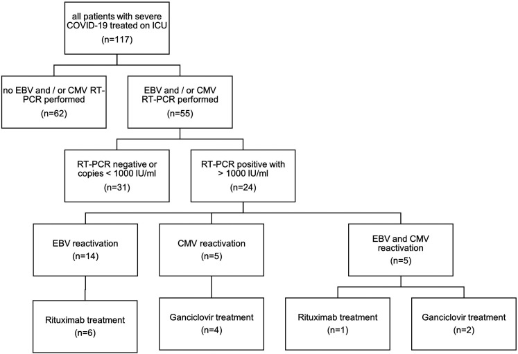 Reactivation of EBV and CMV in Severe COVID-19—Epiphenomena or Trigger ...