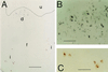 FIG. 6