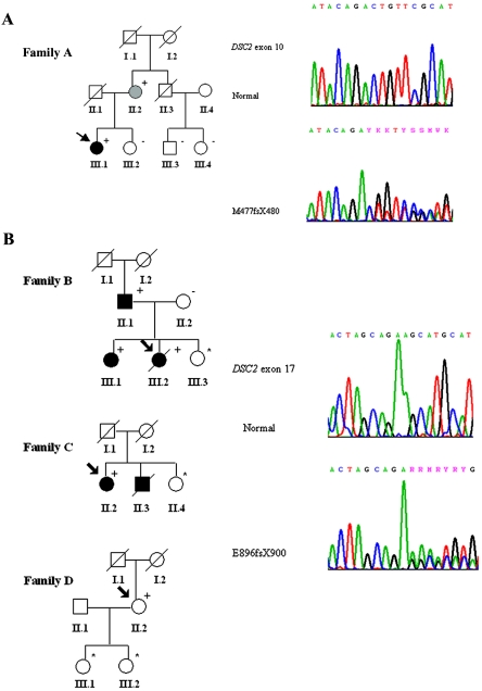 Figure  1. 