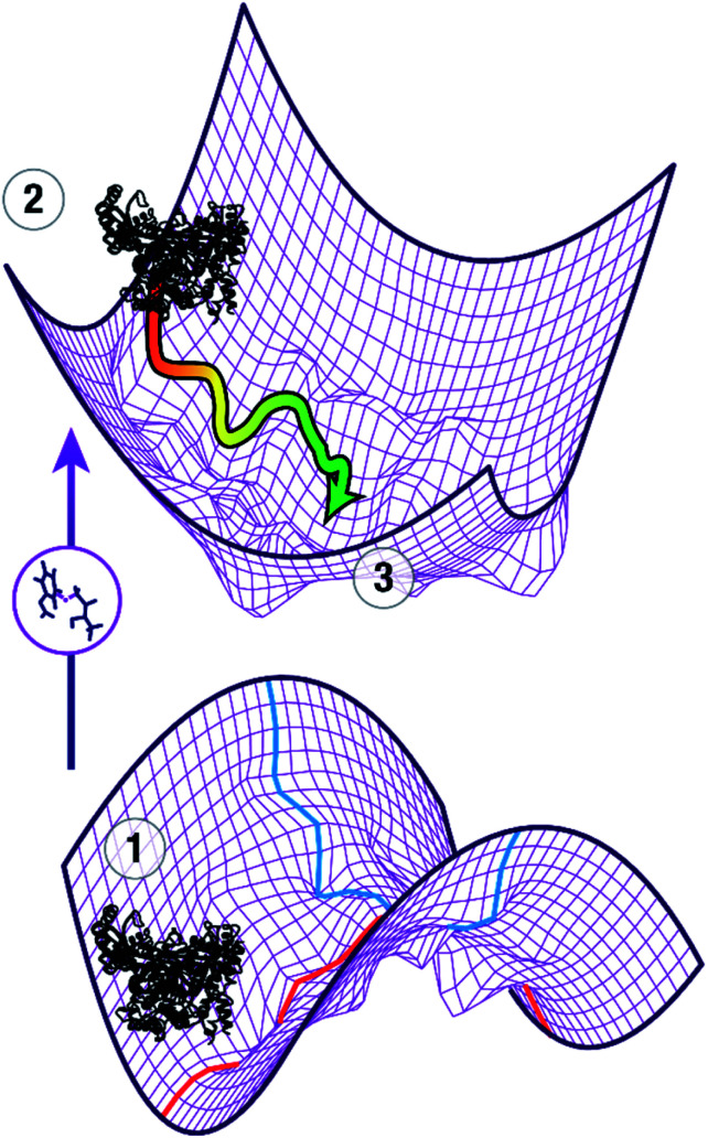 Fig. 1