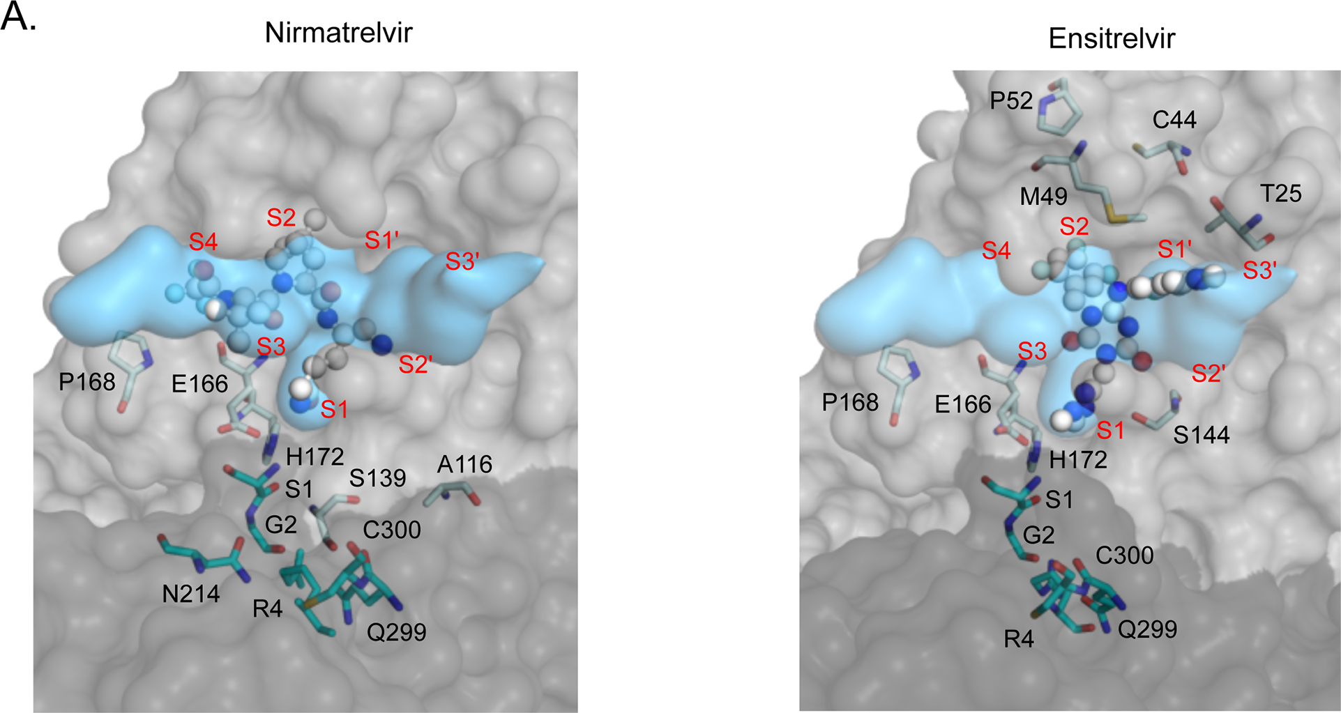 Figure 6.