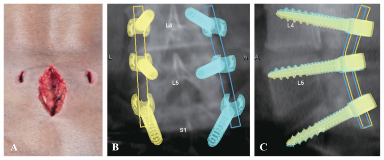 Fig. 2