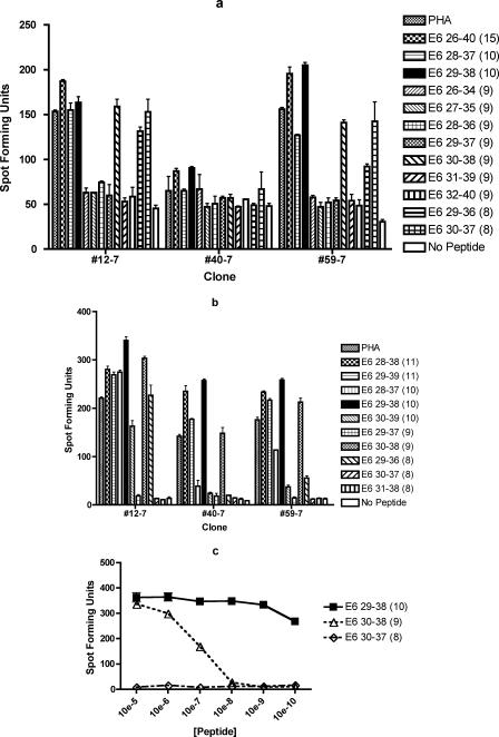 FIG.2.