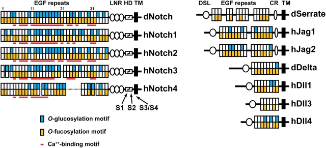 Fig. 3