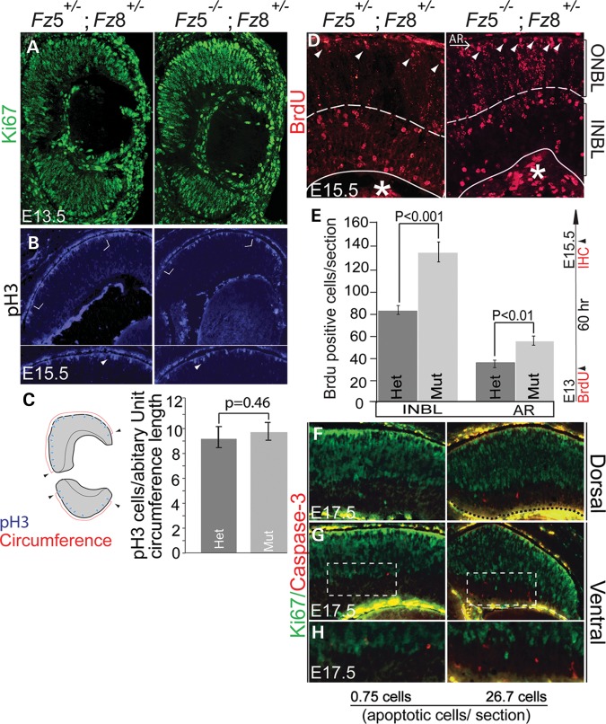 Figure 4.