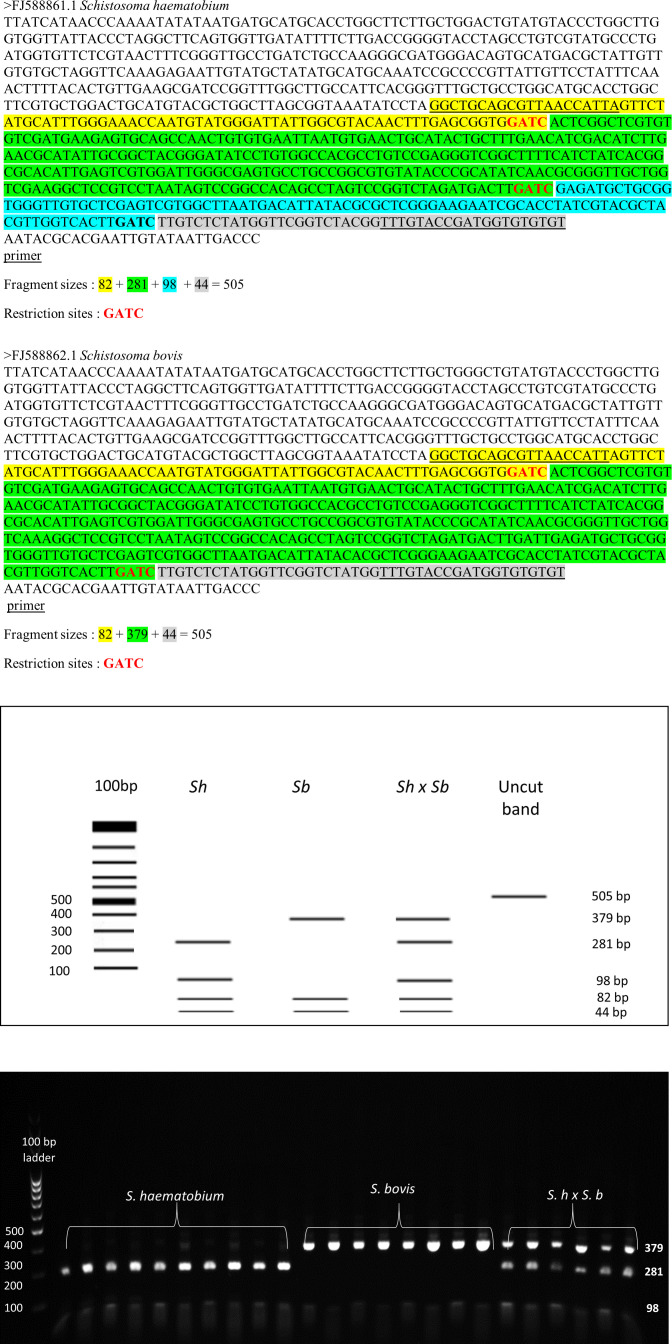 Supplementary Fig. S1: