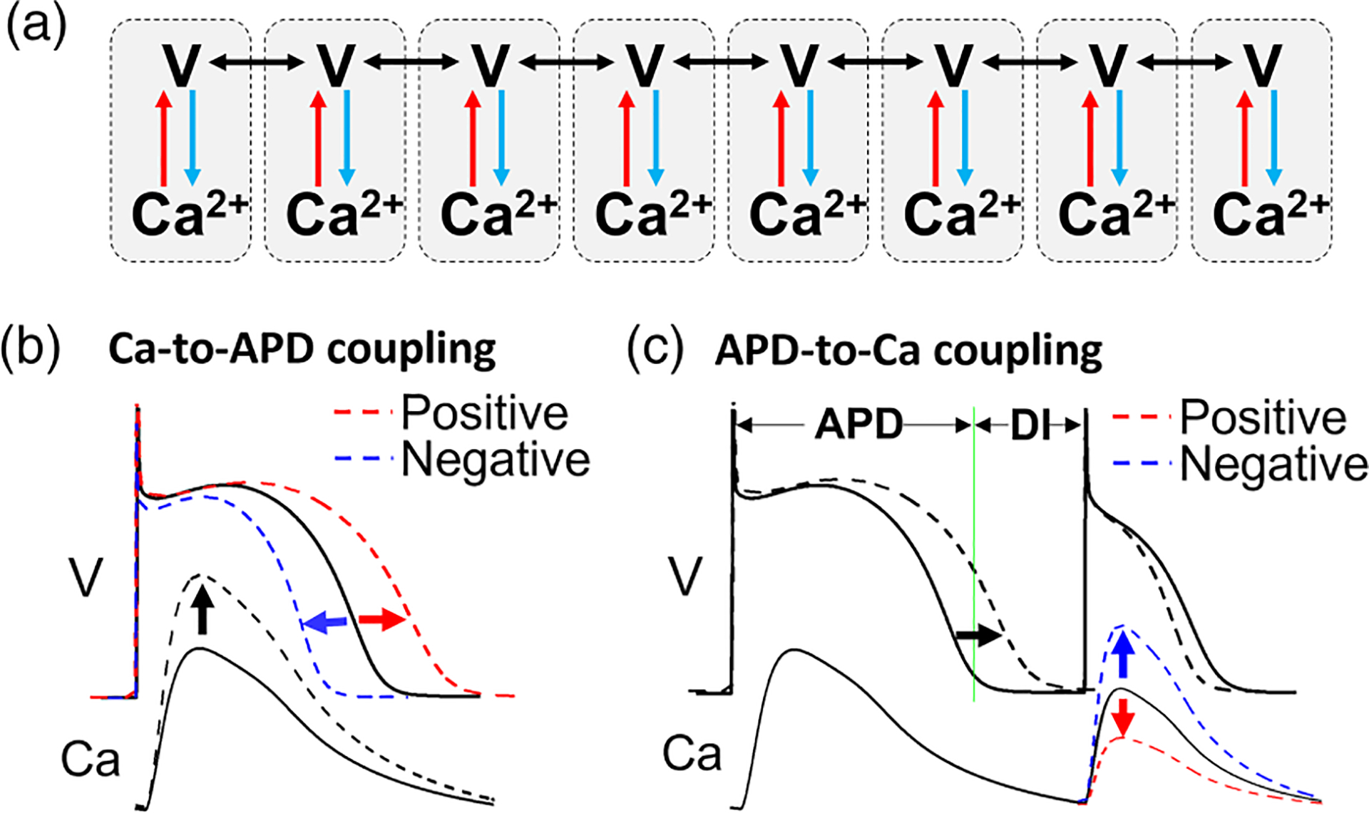 FIG. 2.