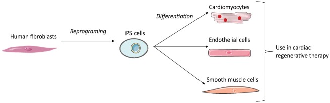 Fig. 6.