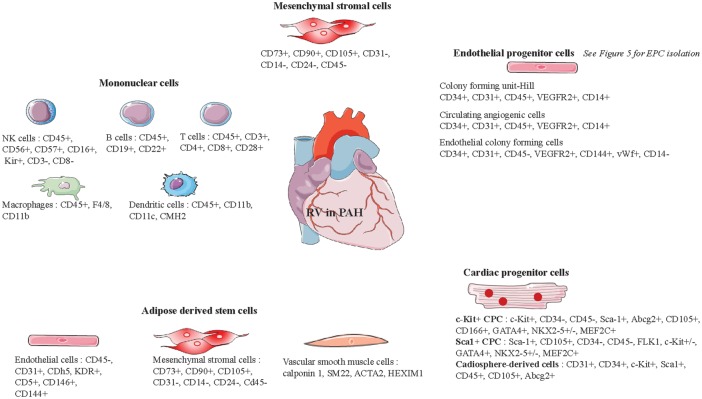 Fig. 8.