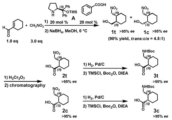 Scheme 1