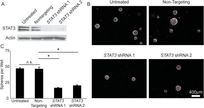 Fig. 4.