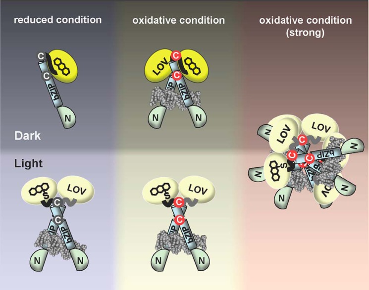 FIGURE 11.