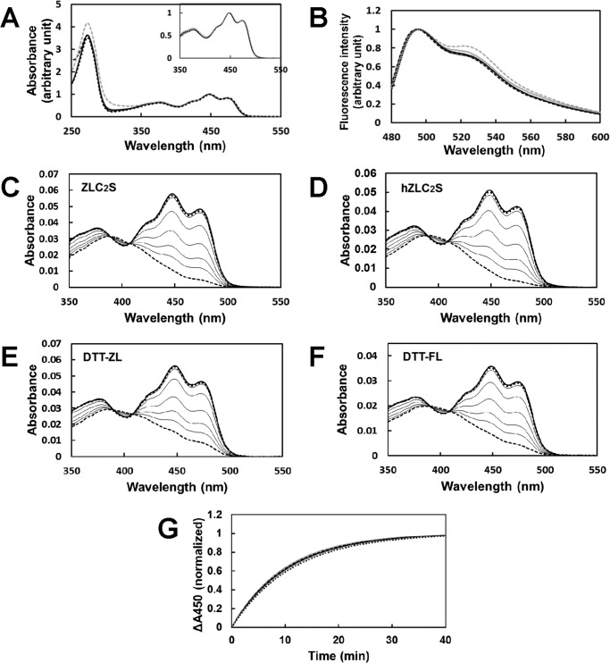 FIGURE 2.