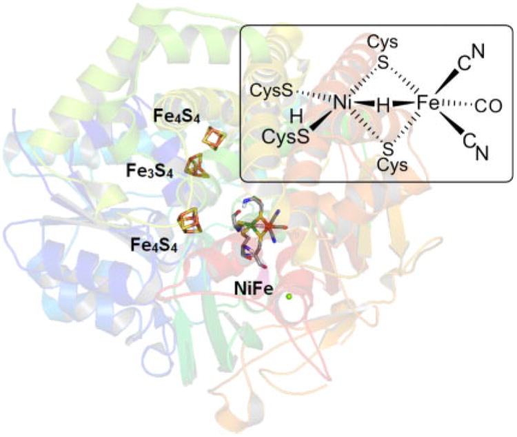 Fig. 1