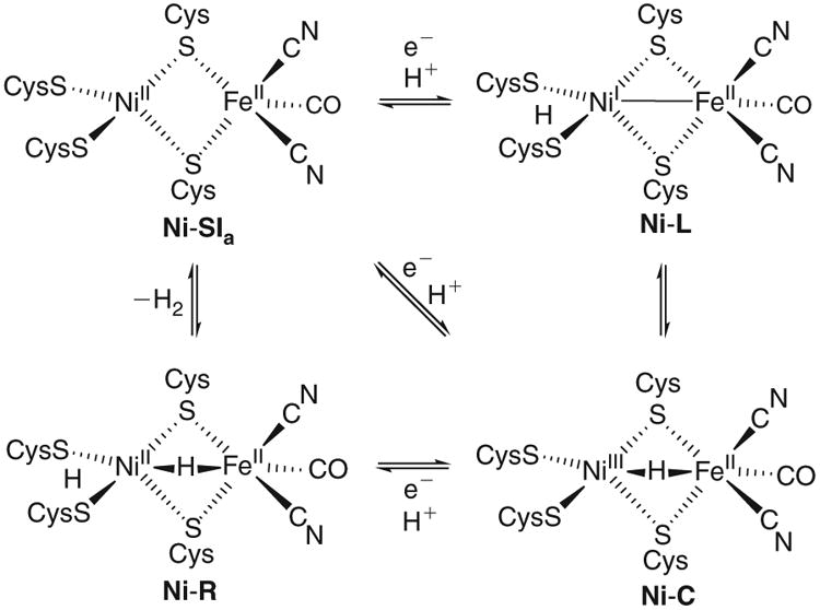 Scheme 1