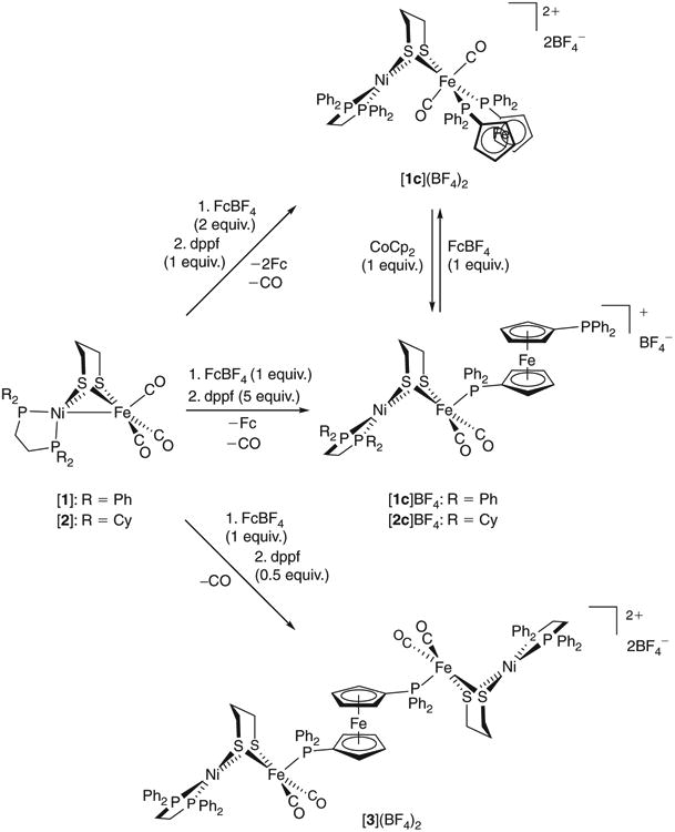 Scheme 3