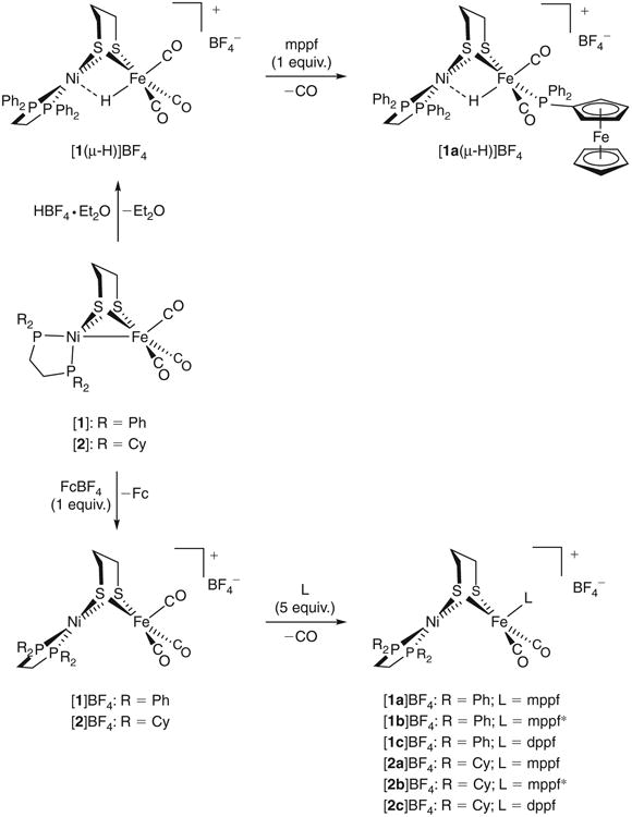 Scheme 2