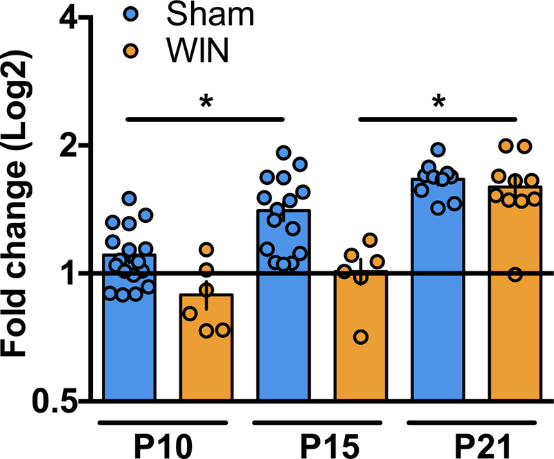 Figure 4: