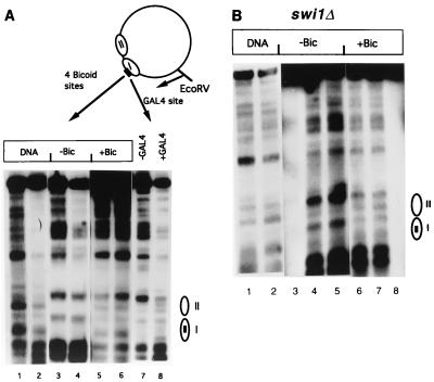 FIG. 6