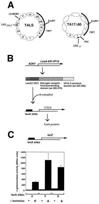 FIG. 1