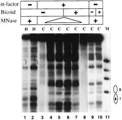 FIG. 7