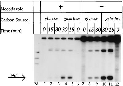 FIG. 5