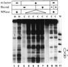 FIG. 7