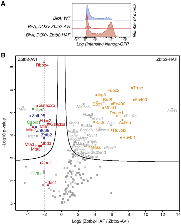 Figure 4