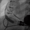 Fig. 10.