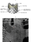 Fig. 6.