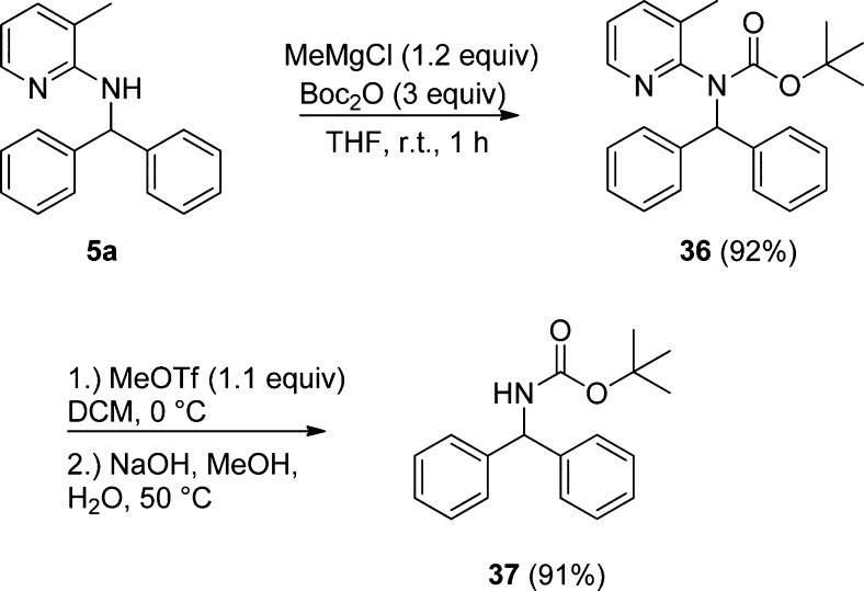 Scheme 10