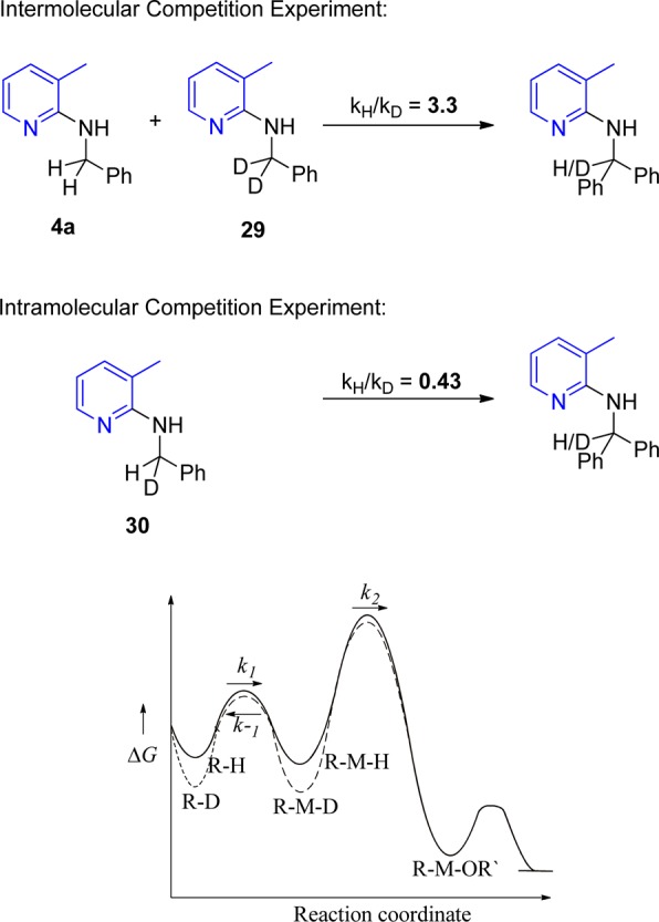 Scheme 8