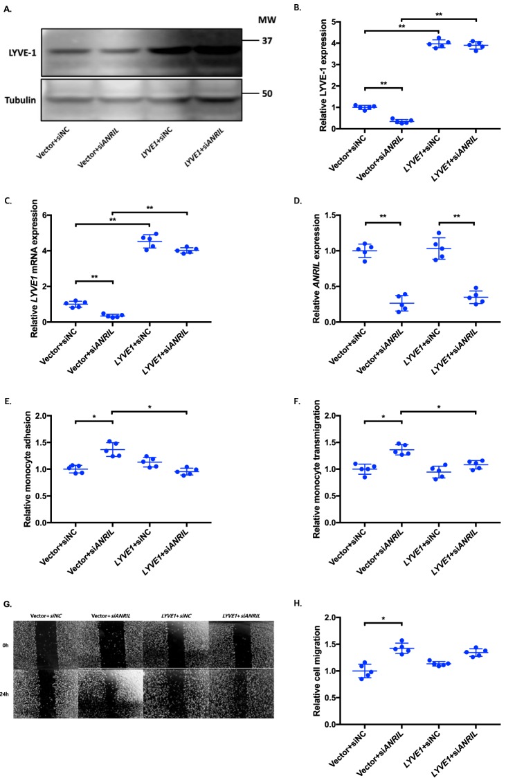 Figure 10.