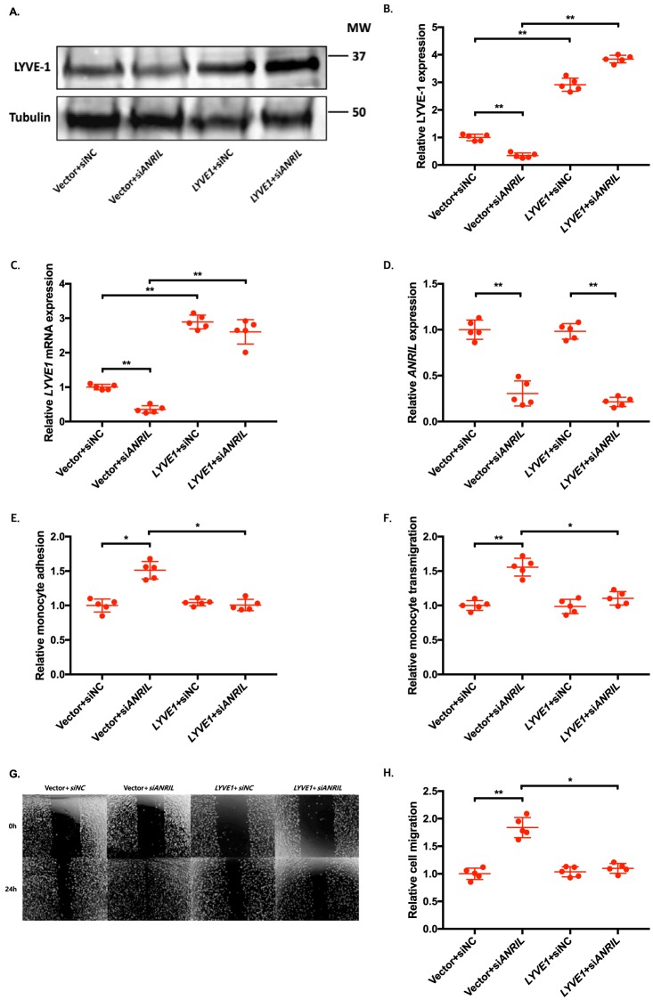 Figure 11.