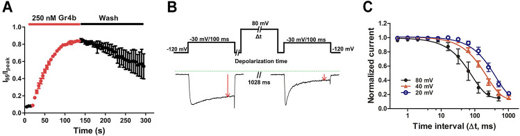 FIGURE 4