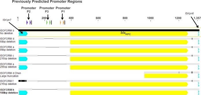 FIG 1