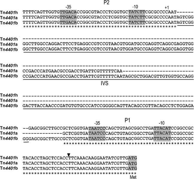 FIG 2