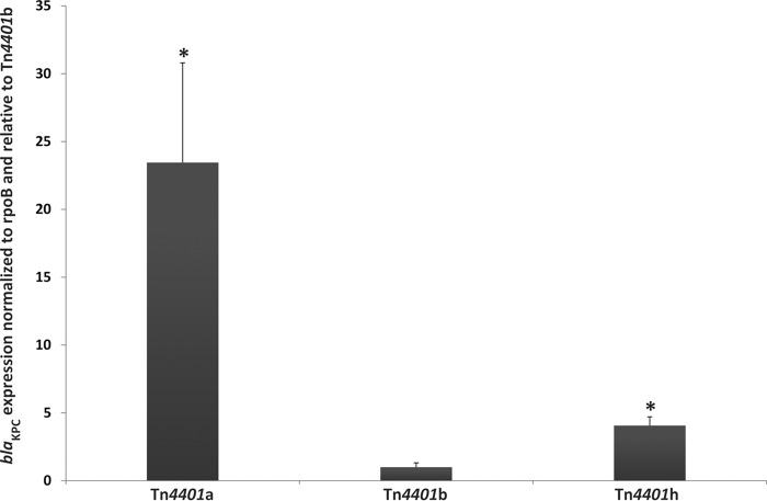 FIG 3