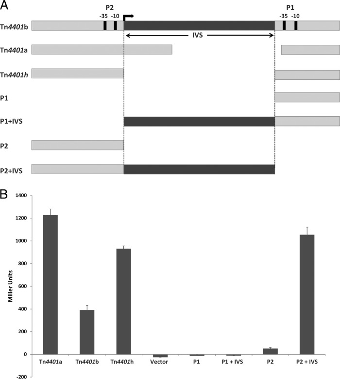 FIG 4