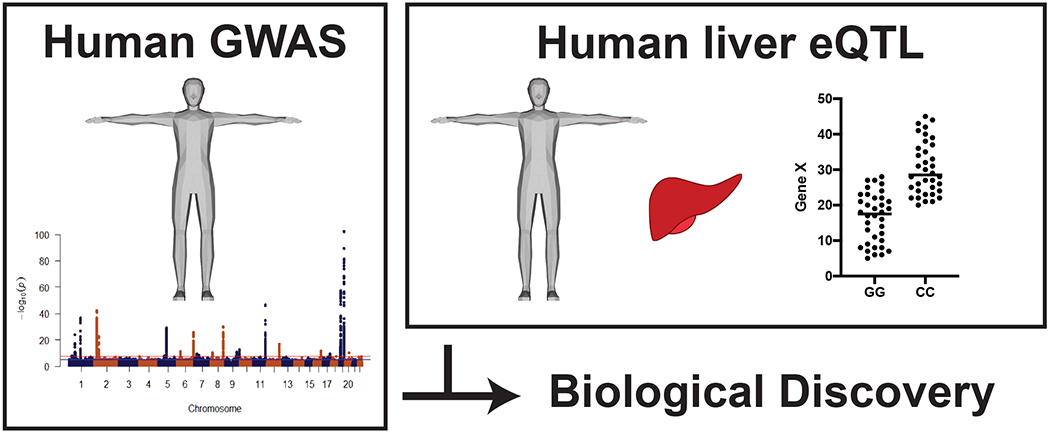 Figure 1: