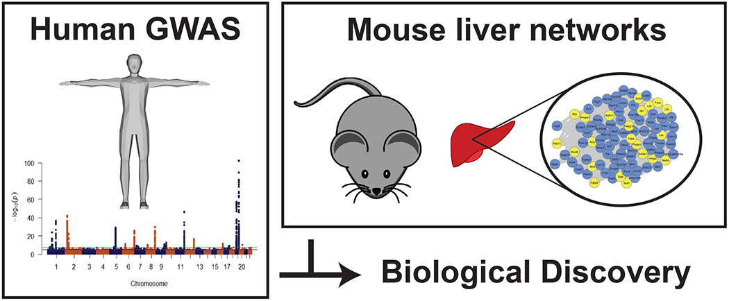 Figure 2: